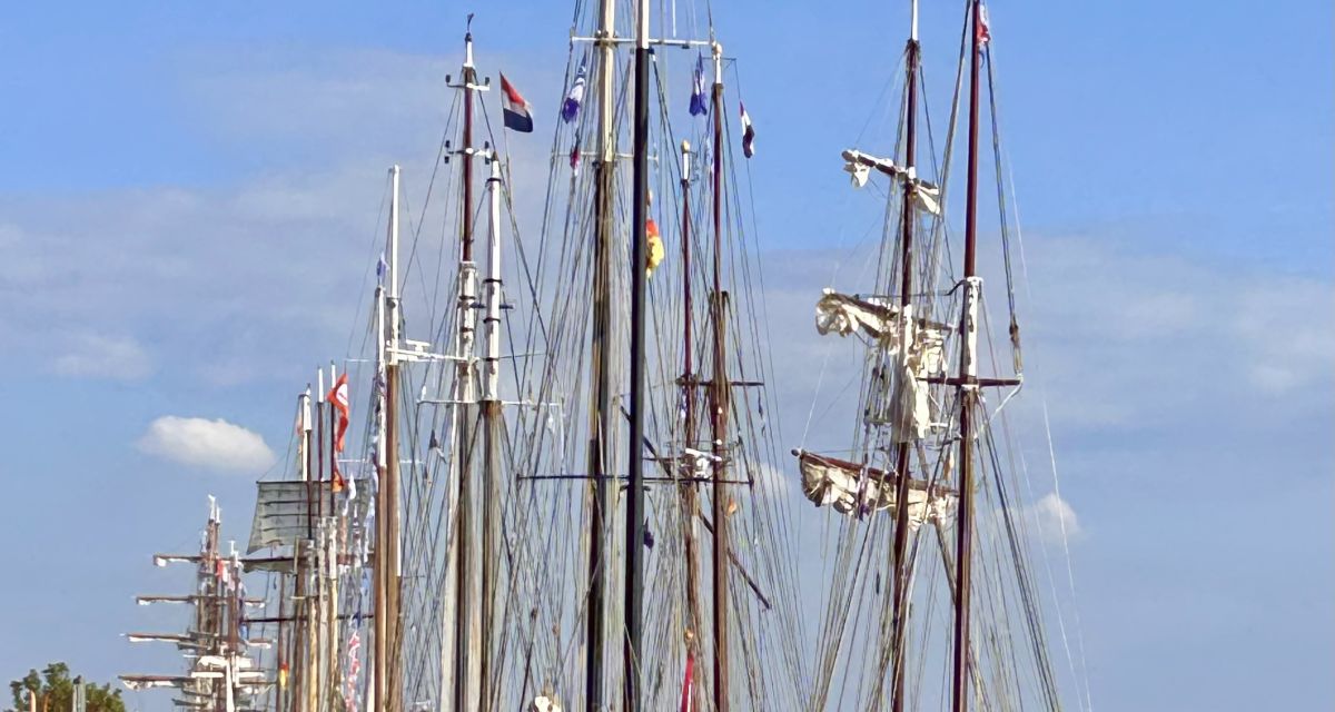 mehere Segelschiffe an belebtem Kai bei gutem Wetter