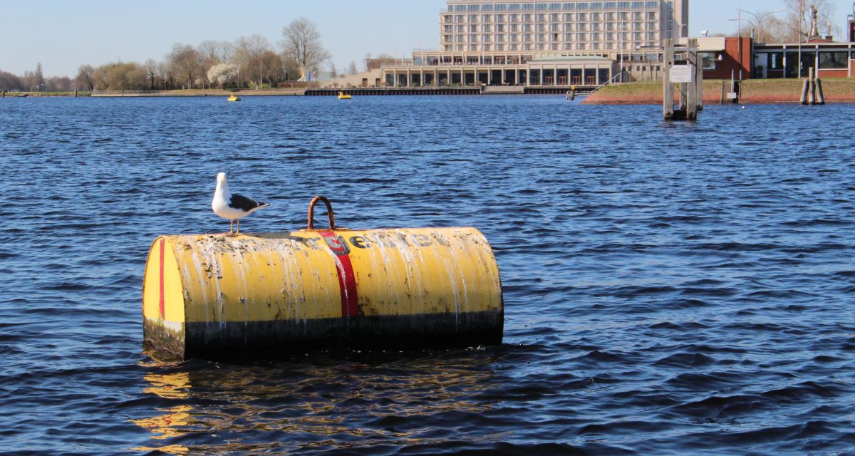 Zu sehen ist eine Möwe auf einer gelben Boje mit der Aufschrift 