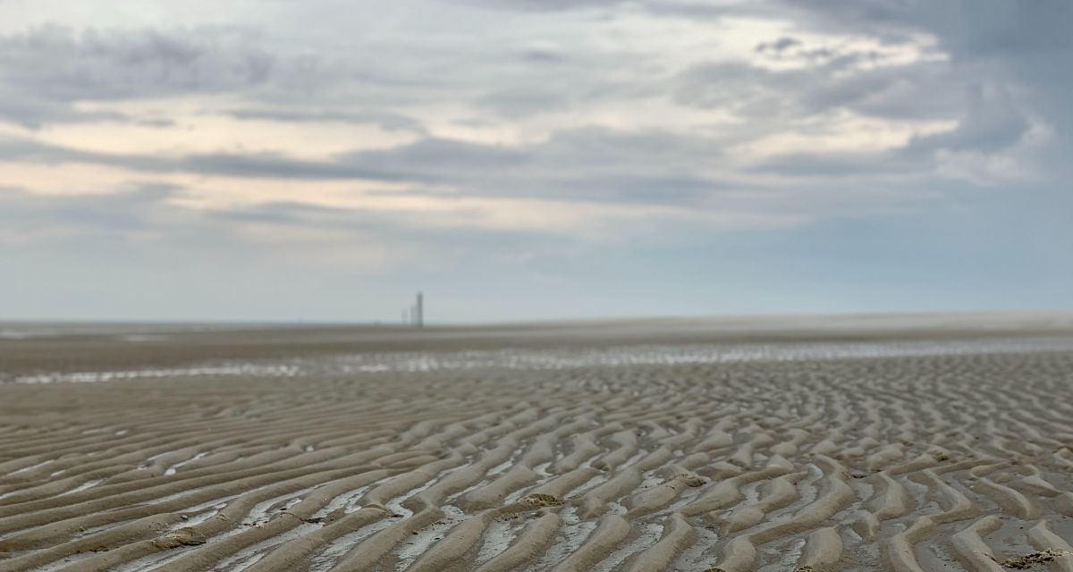 Sie sehen das Watt bei Ebbe