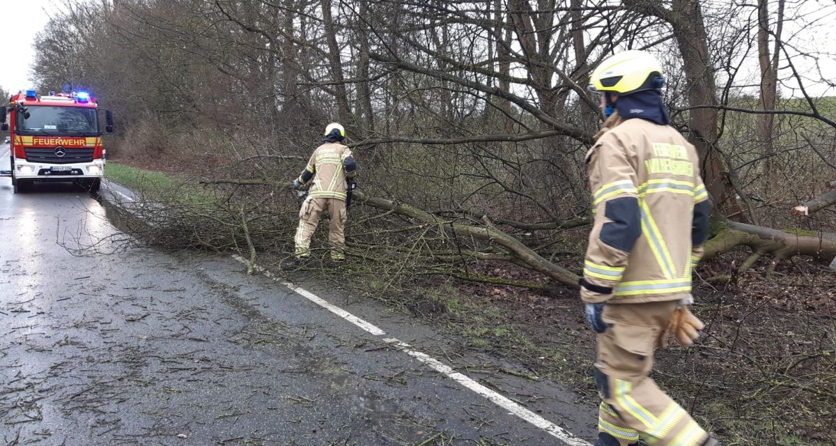 Zu sehen sind Aufräumarbeiten am Friesendamm in Wilhelmshaven Ende März, nachdem Sturmböen einen Baum zu Fall gebracht hatten. Zwei Feuerwehrleute der Berufsfeuerwehr räumen den Baum zur Seite, im Hintergrund steht ein Einsatzfahrzeug der Feuerwehr, auf der Fahrbahn liegen noch dünne Äste und Zweige.