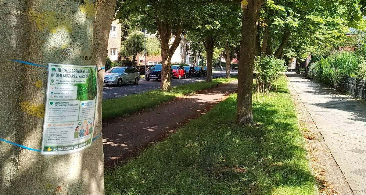 Zu sehen ist die Mozartstraße im Sommer. An einem Baum im Vordergrund hängt ein Plakat für den Bücherspendenstand in der Mozartstraße. Der Flohmarkt musste im Jahr 2026 abgesagt werden, weil die geforderten Sicherheitsauflagen kurzfristig auferlegt wurden.