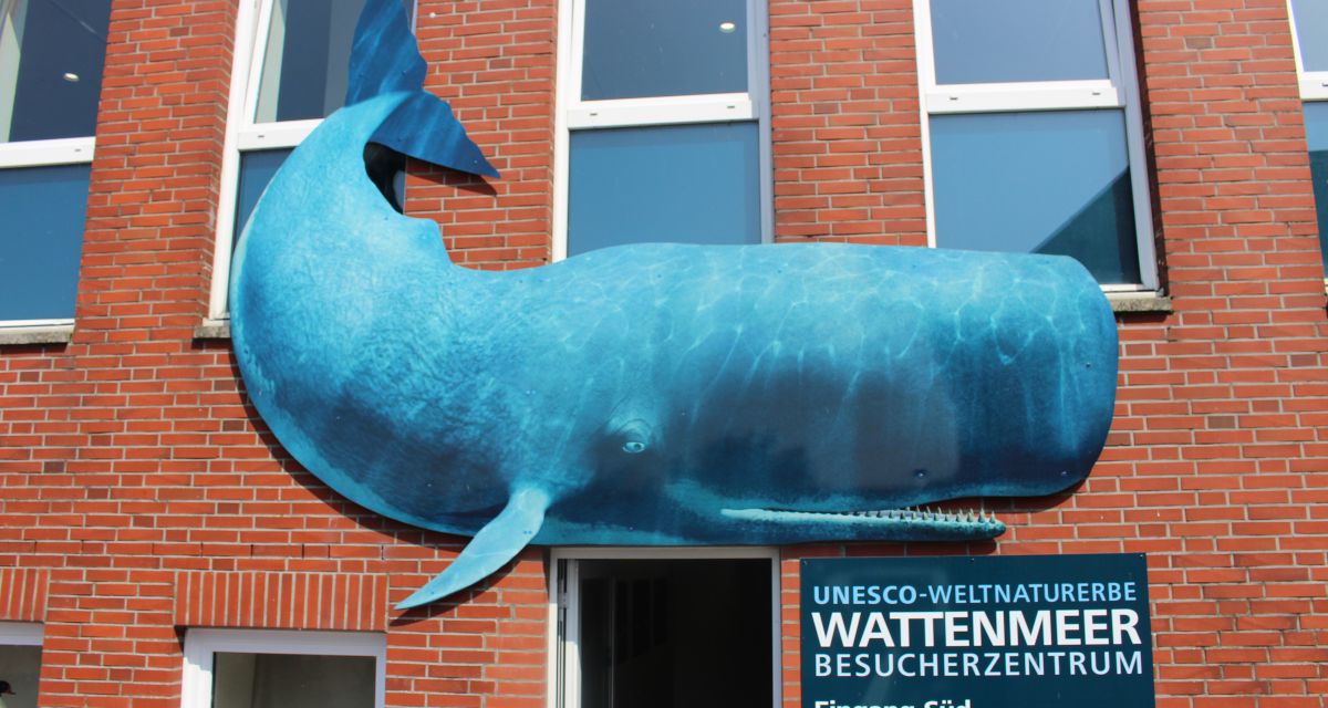 Zu sehen ist ein gemalter Pottwal über dem Eingang des Wattenmeer-Besucherzentrums in Wilhelmshaven.