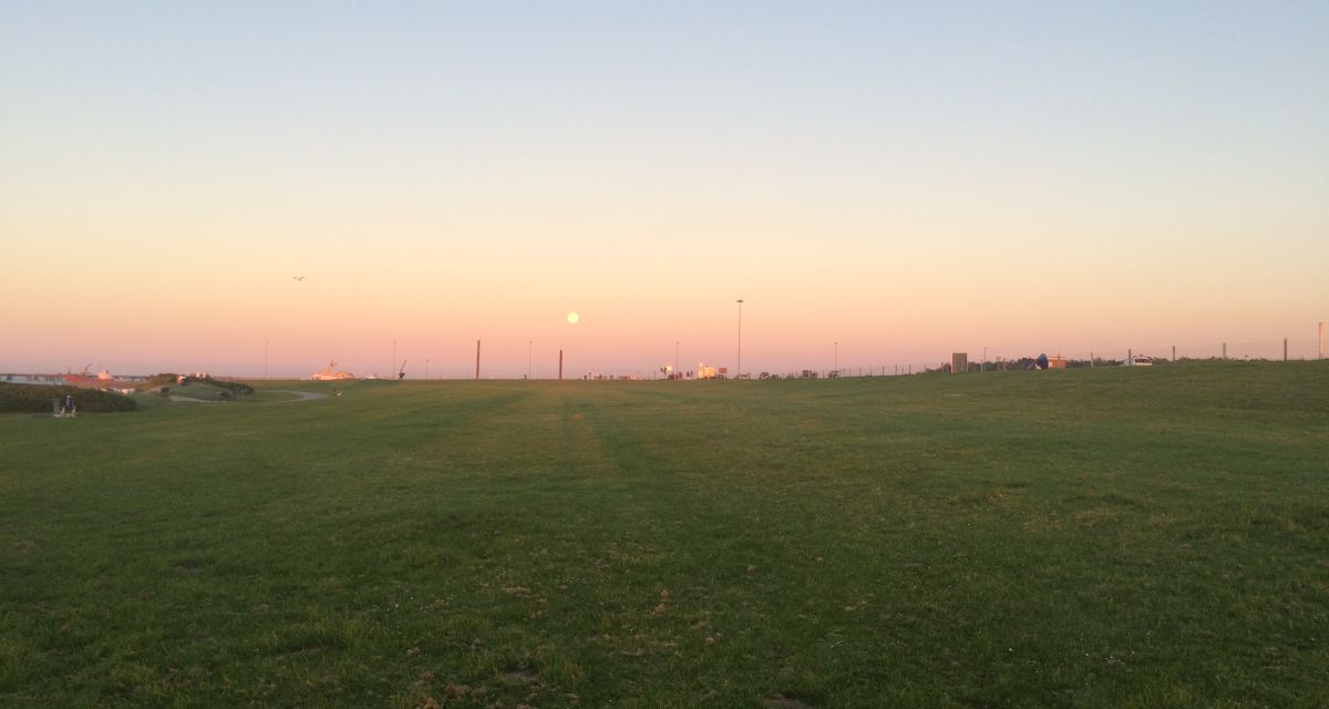 Hooksiel Strandwiese