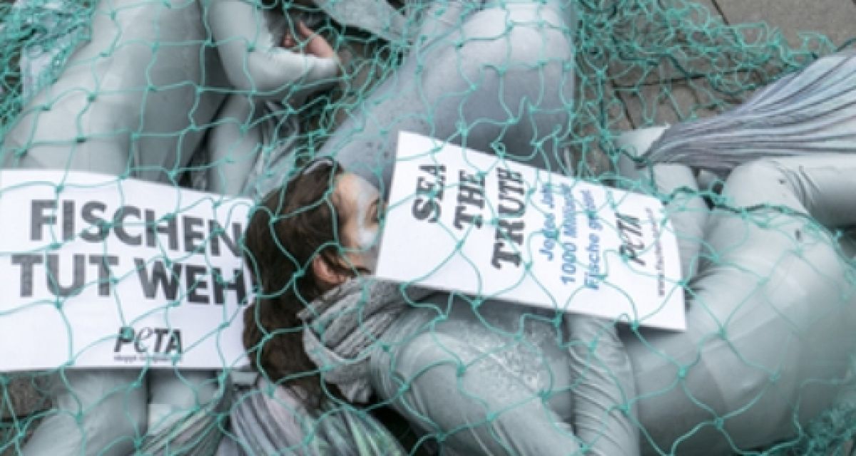 Peta-Aktion am Südstrand