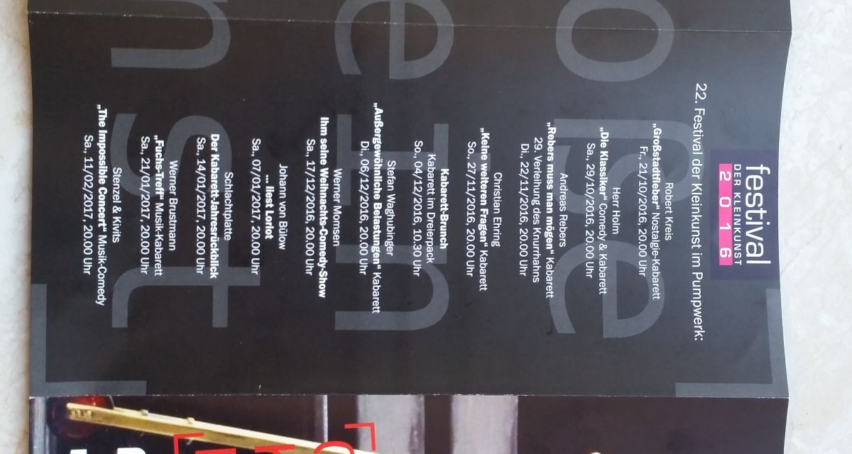 Der Flyer des Prgramms 