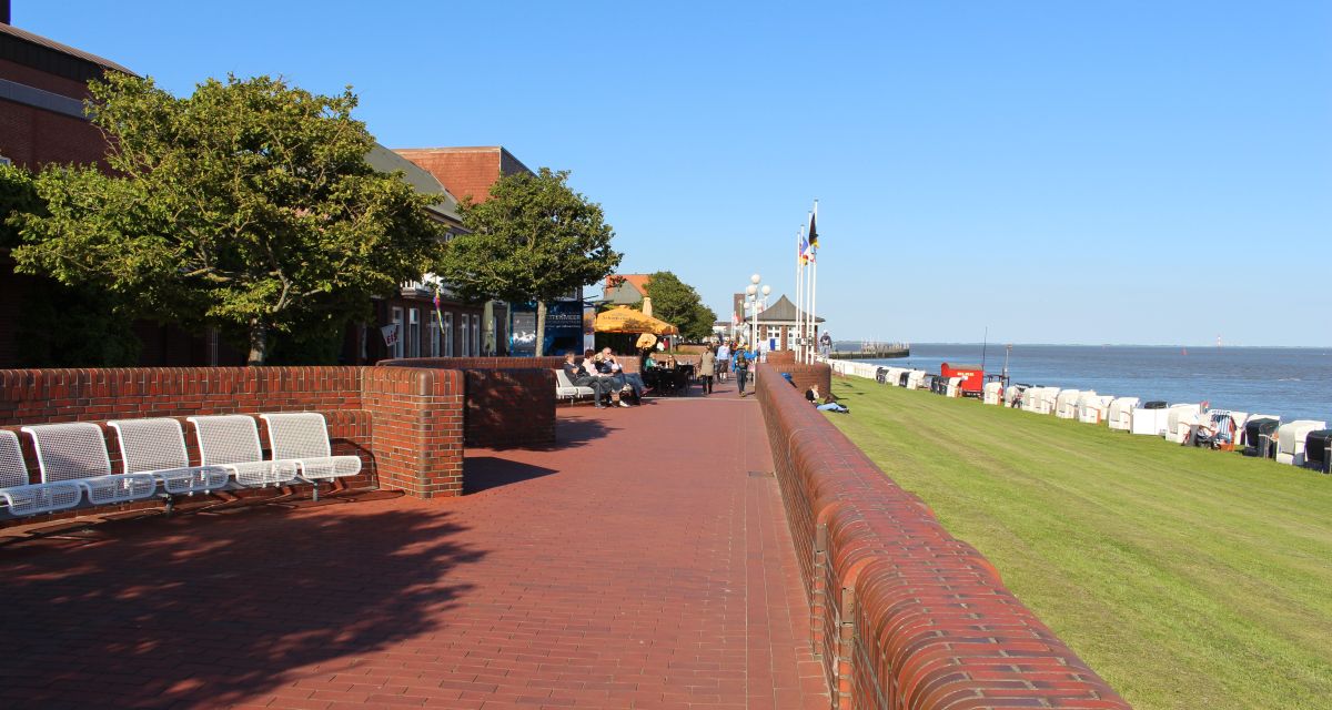 WTF-Chef ausgezeichnet