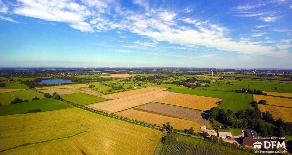 Friesland wird Weinanbaugebiet