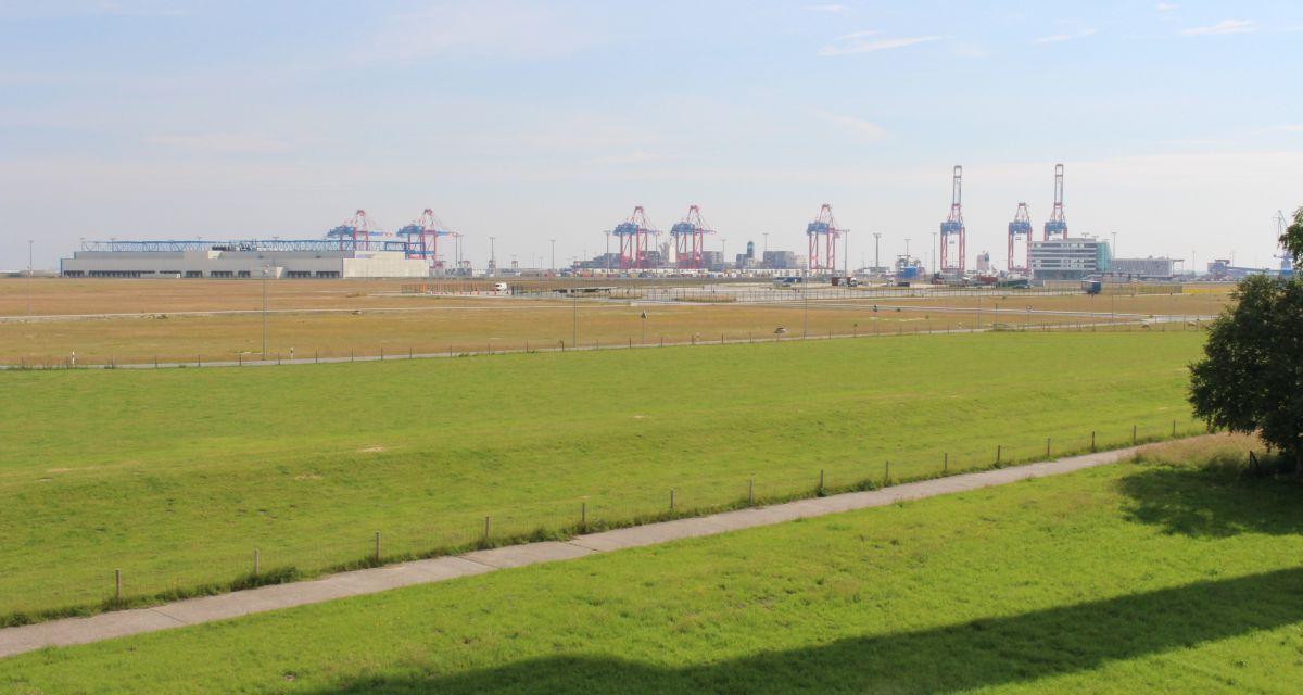 Hinter mehr oder weniger grünen Wiesen ragen die Containerbrücken des JWP in den nahezu wolkenlosen Himmel