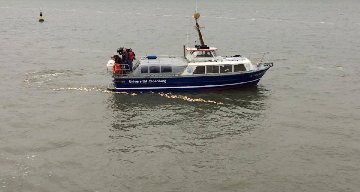 Holzdrifter werden erforscht