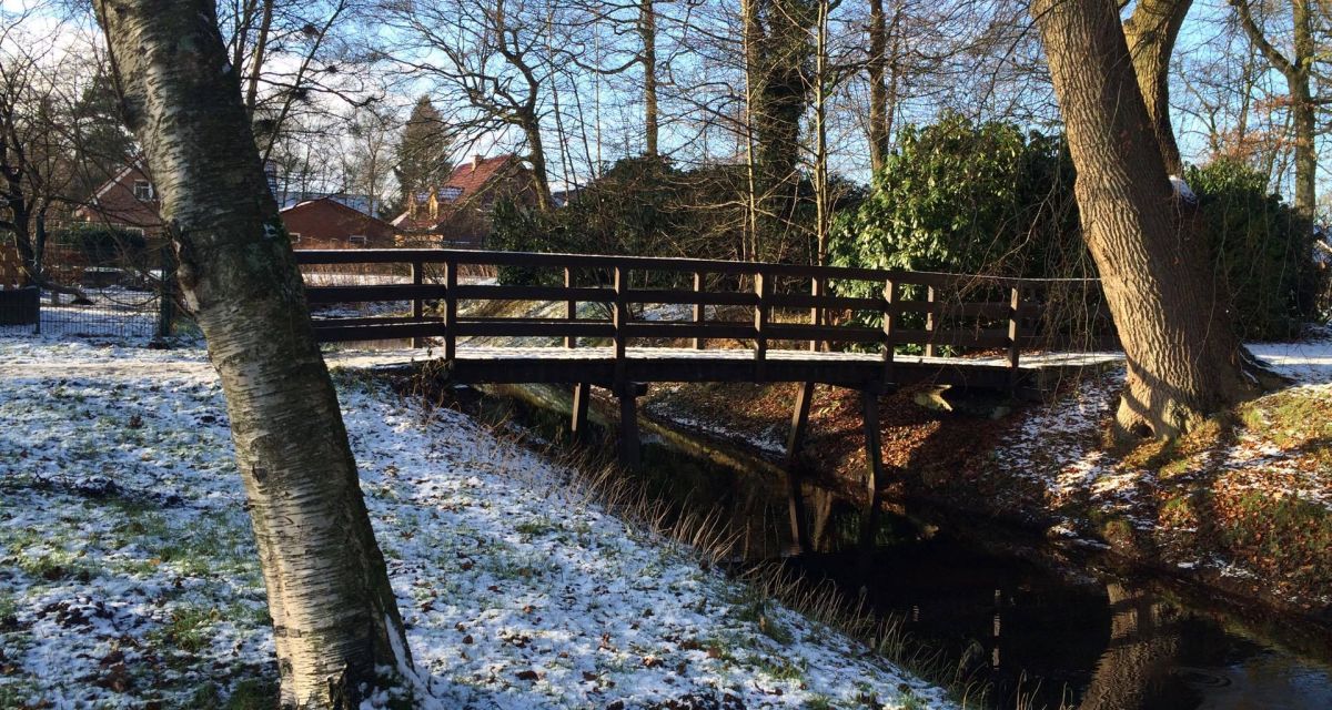 Friesland-Taler für Ehrenamt
