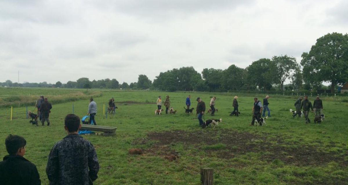 Menschen gehen mit ihrem Hund im Gänsemarsch und im Kreis auf einer Wiese herum.