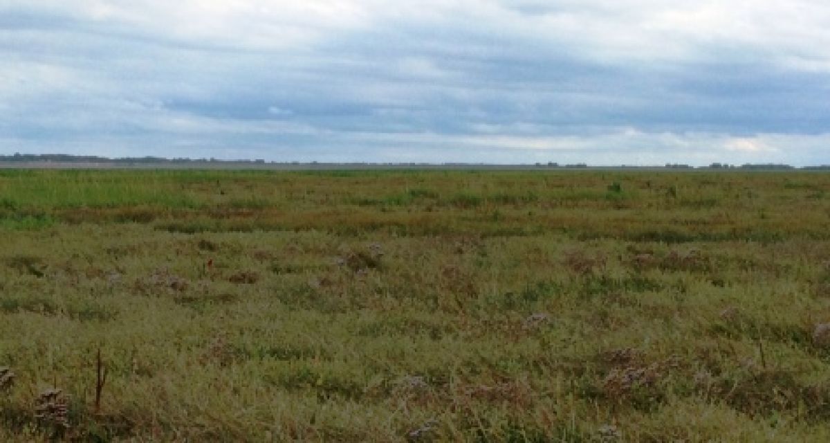 Landwirtschaftskammer ehrt Absolventen