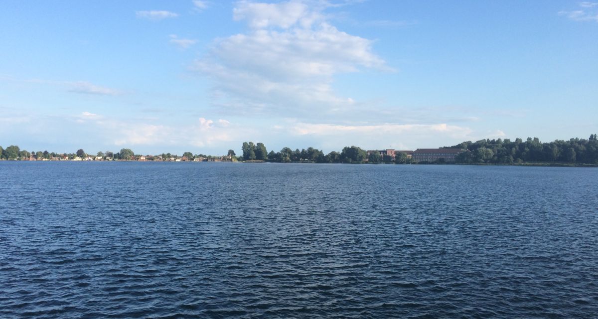 Vogelgrippe in Wilhelmshaven festgestellt