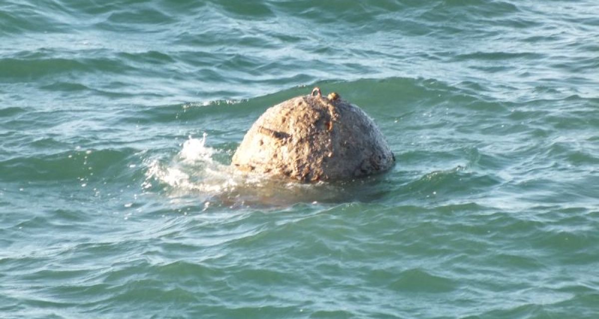 Eine alte Seemine, die im grünen Wasser schwimmt