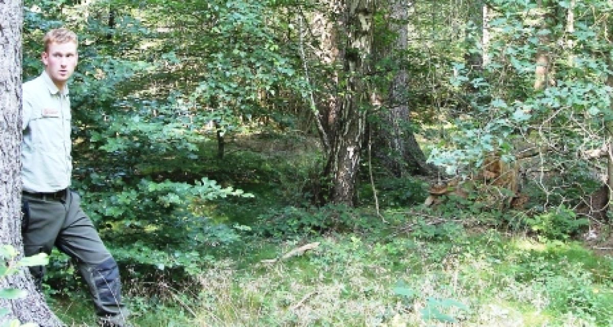 Jagdhütte könnte unter Denkmalschutz gestellt werden