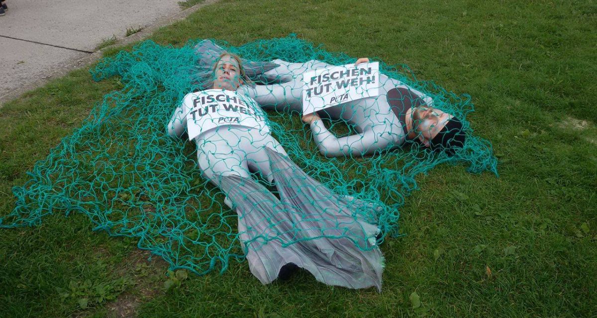 Peta fordert Aus für Angel-AGs