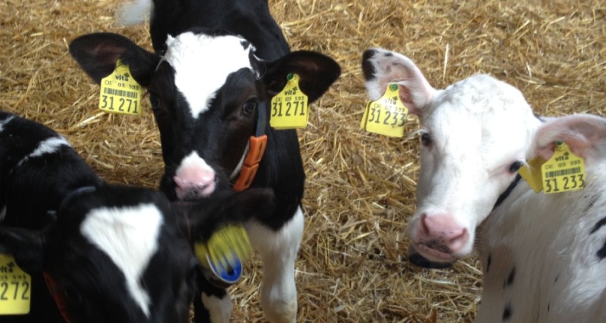 Bessere Zeiten für Landwirte