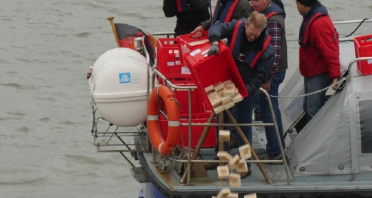 Ein Mann lässt von einem Boot aus viele Holklötze ins Meer fallen.