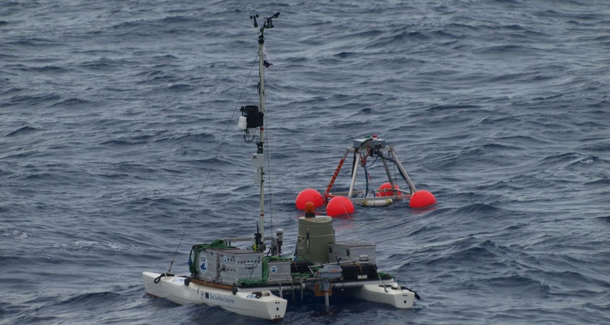 Ein Katamaran auf dem Meer.