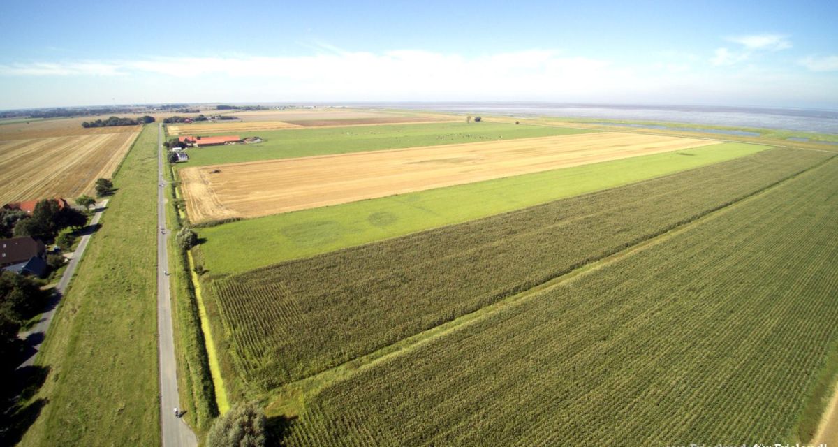 Kurärzte finden kaum Nachfolger