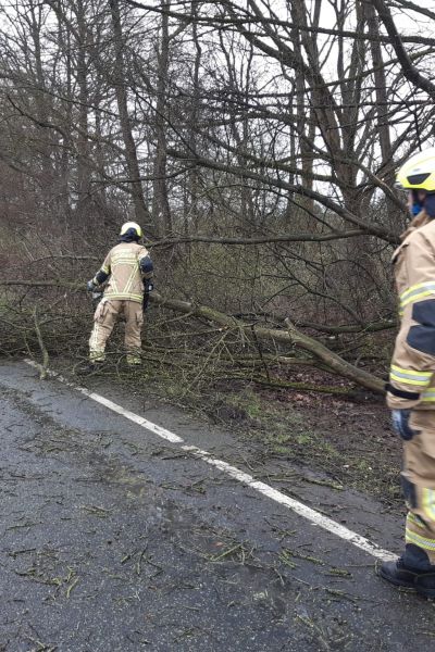 Baum stürzt durch starken Wind auf Friesendamm