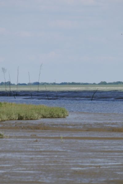 Saisoneröffnung des Museums „Spijöök“ mit großer Veranstaltung geplant