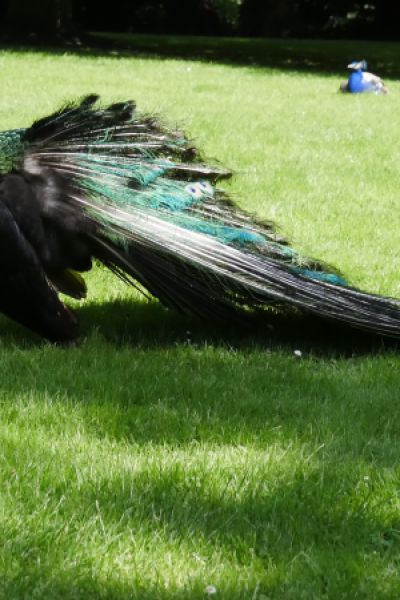 Zweite „Woche der Klimaanpassung“ startet