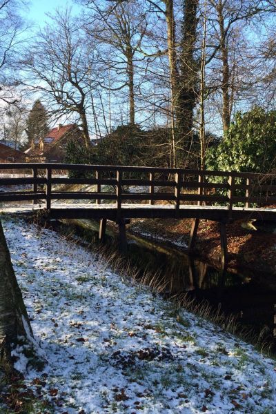 Friesland-Taler für Ehrenamt