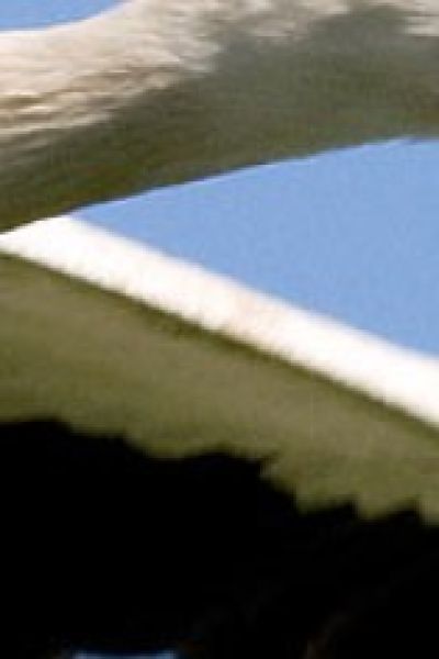 Ökologische NABU-Station in Oldenburg eröffnet