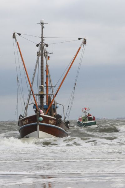 Fischkutter strandet vor Wangerooge