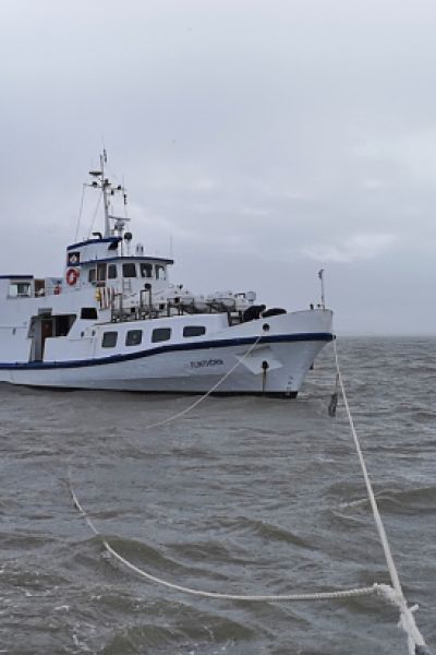 Seemann von Baggerschiff vor Langeoog geborgen