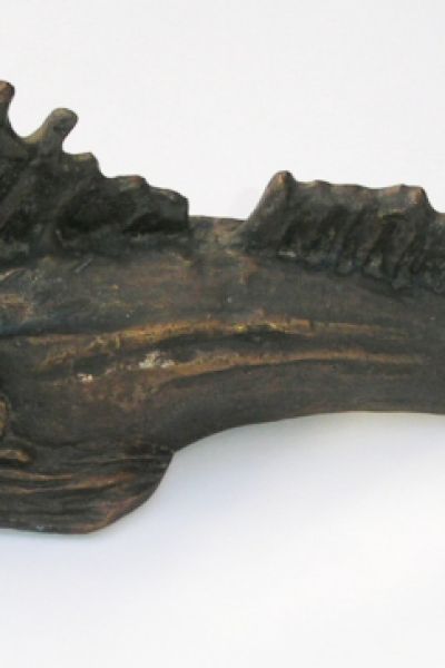 Ratzke erhält zweiten Knurrhahn