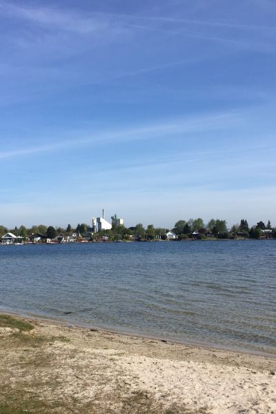 Blaualgen im Banter See