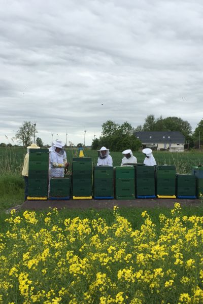 Erntestopp durch Wetterlage