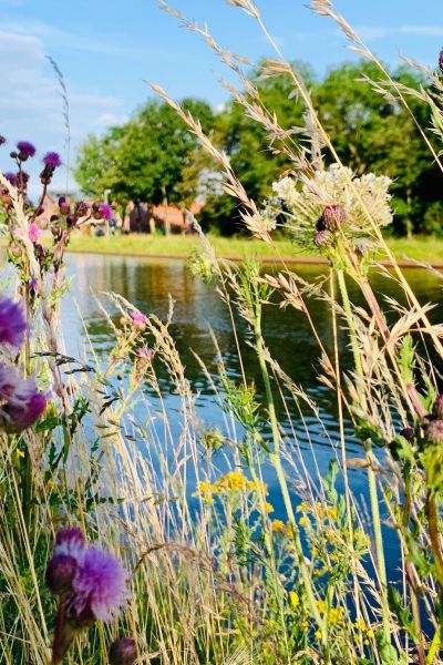 NLWKN stellt Jahresbericht vor und gründet Kompetenzzentrum