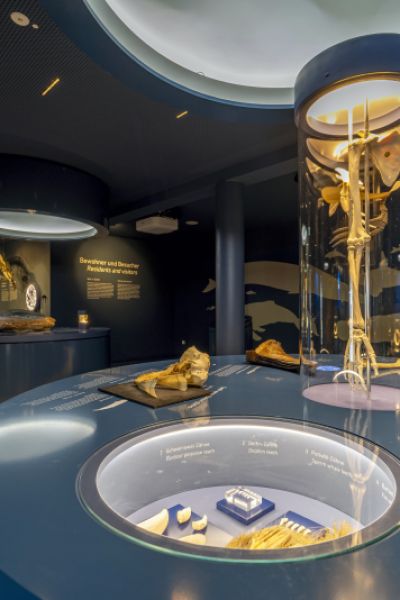 Weniger als fünf Prozent Nicht-Geimpfte im Gesundheitswesen