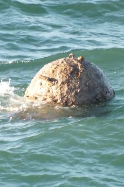 Seemine soll vor Horumersiel gesprengt werden