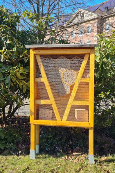 Nisthilfen und Blühwiesen für Projekt „Blühendes Friesland“