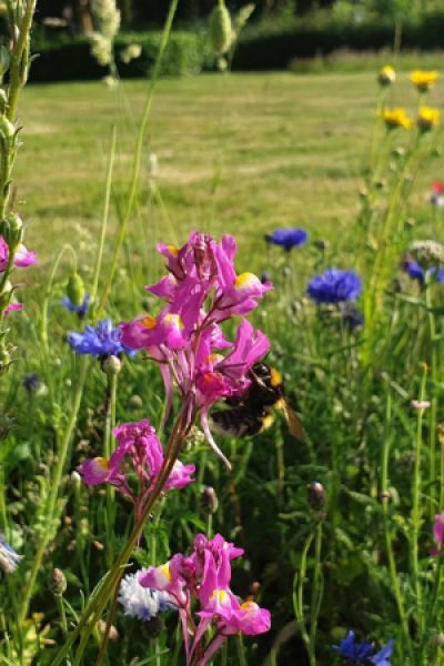 NABU veröffentlicht Jahresbericht 2024