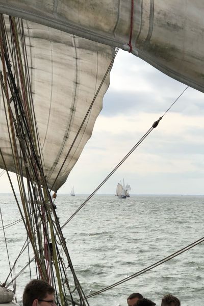 21. Wilhelmshaven Sailing Cup großer Erfolg