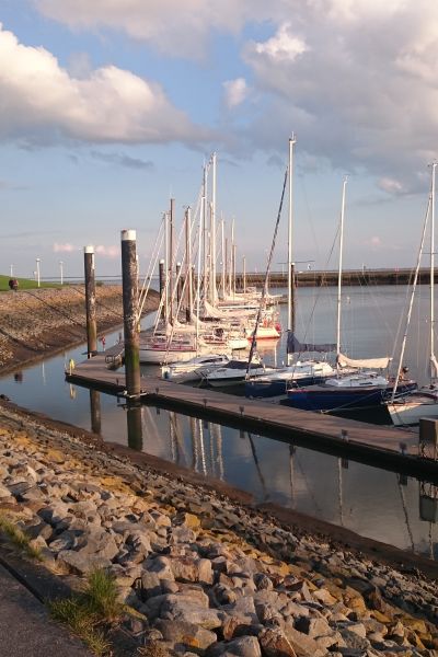 Reh löst Rettungseinsatz aus