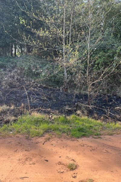 Böschungsbrand in Wilhelmshavener Stadtnorden