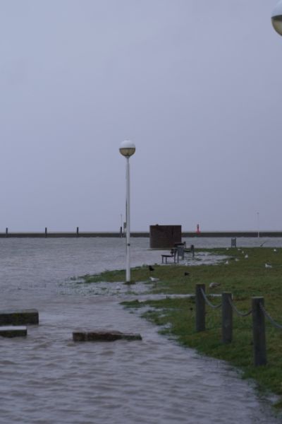 Bund fördert Projekt für Evakuierungskonzepte bei Hochwasser
