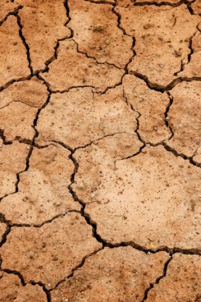 LBEG warnt vor Klimawandel