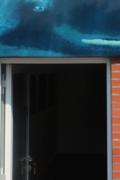 Wattenmeerhaus-Trägerverein skeptisch