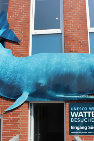 Wilhelmshaven: Meereswelten 2016 lockt an den Südstrand