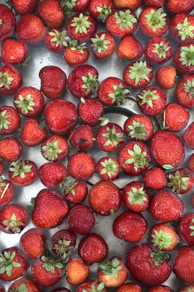 Immer weniger Erdbeeren aus Niedersachsen