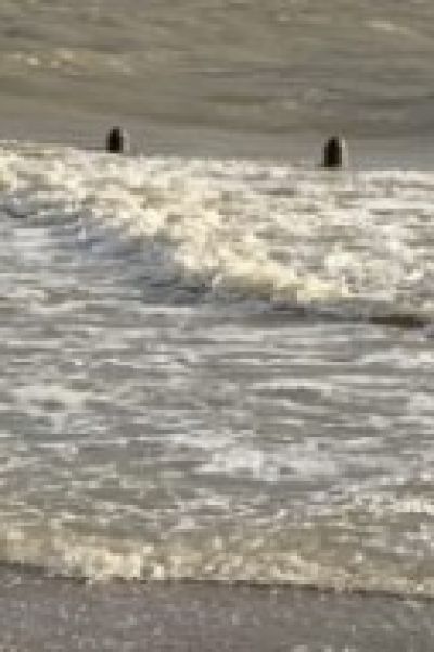 Pegelstände auch der Hunte steigen wieder an