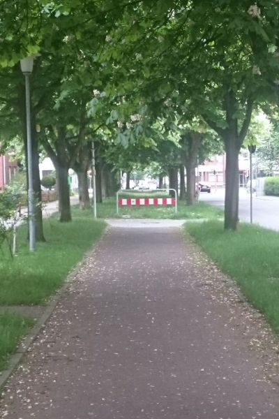 Wilhelmshaven Drittletzter in der Fahrradfreundlichkeit