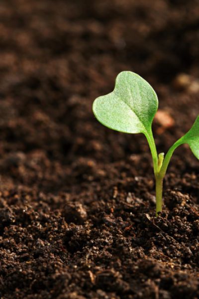 Auftaktveranstaltung für grüne Innenstadt